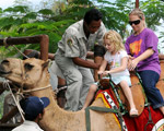 Camel Ride