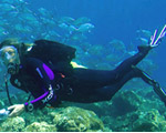 Dive Bali